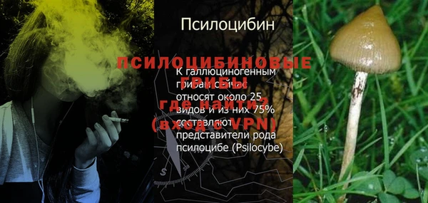 первитин Балахна